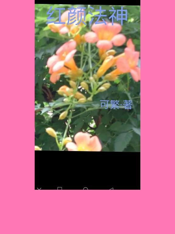 苏老板的宠夫日常全文阅读