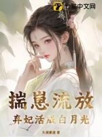 穿越之梦回大清攻略