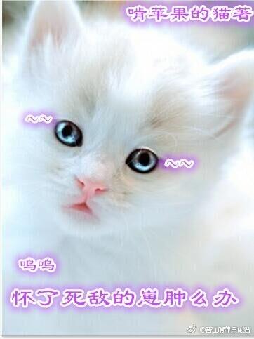 我哥太好了我怎么办