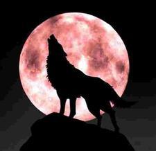 学霸千金要逆袭全文免费阅读 百度