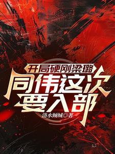 傻子阿呆是什么电视剧