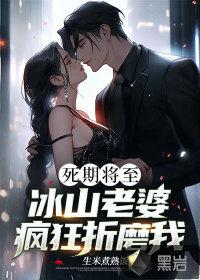 精灵龙系王者阅读