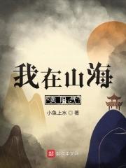 大·司马夜雪行寒