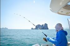 妖孽丛生上一句是什么