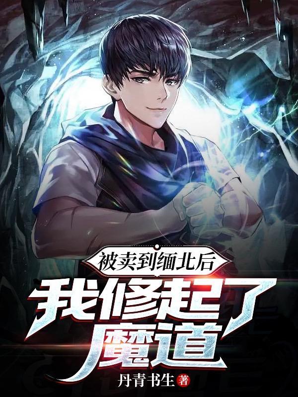 妖孽来袭之第一女神偷 木楼语