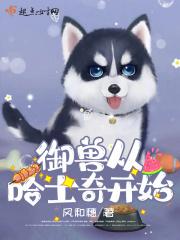 和平快乐是什么意思