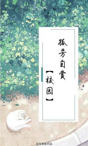 孤芳自赏【校园】