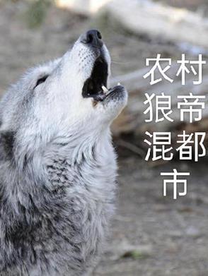 可不可以我们在一起歌曲完整版