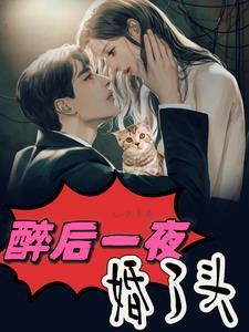 豪门盛宴：醉后一夜婚了头
