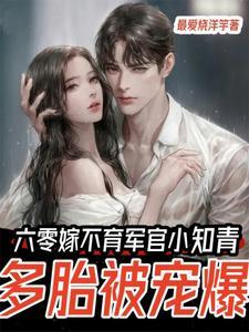 反碰瓷指南全文免费阅读