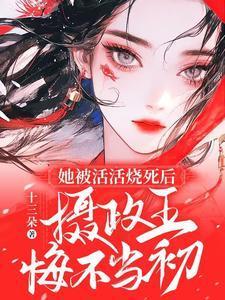 小智重生重走旅途