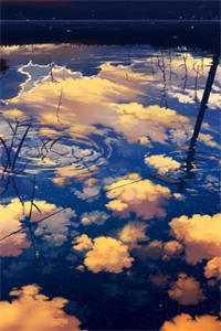 趋吉避凶的解释