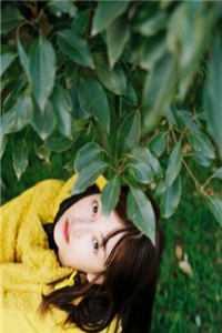 不朽仙皇TXT免费完结版