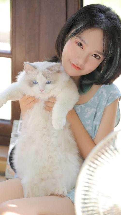 焚天路百度百科