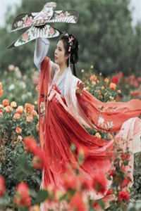 角落里的我歌词