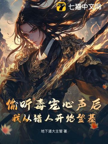 龙凤呈祥图片大全大图 图案