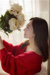 乱世绝宠全文阅读免费