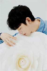 娱乐圈一起学猫叫