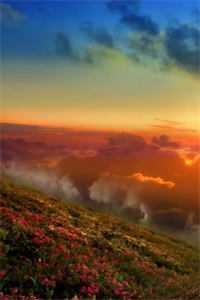 开局最终试炼最新章节列表_人在箱庭