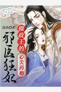 婢女王妃穿越中毒