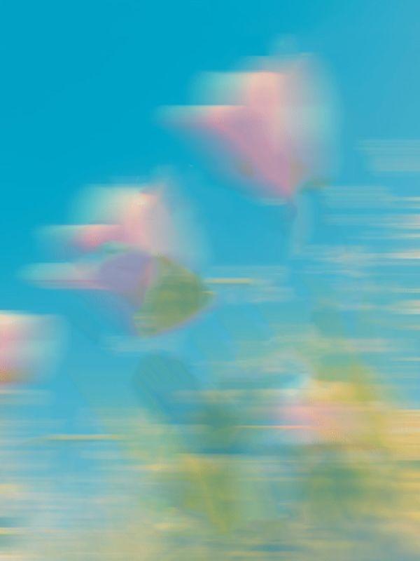 待看蟒雀吞龙时境界