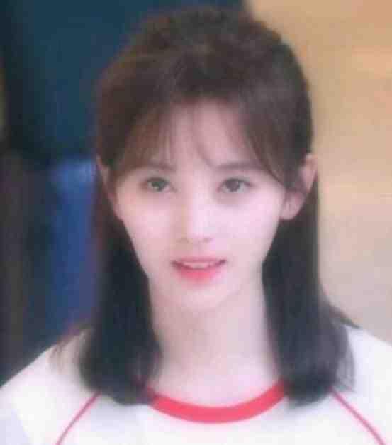 这个警察会养生txt