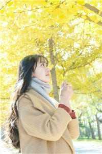 虞茵楚希洲