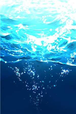 校园暴力 受害者