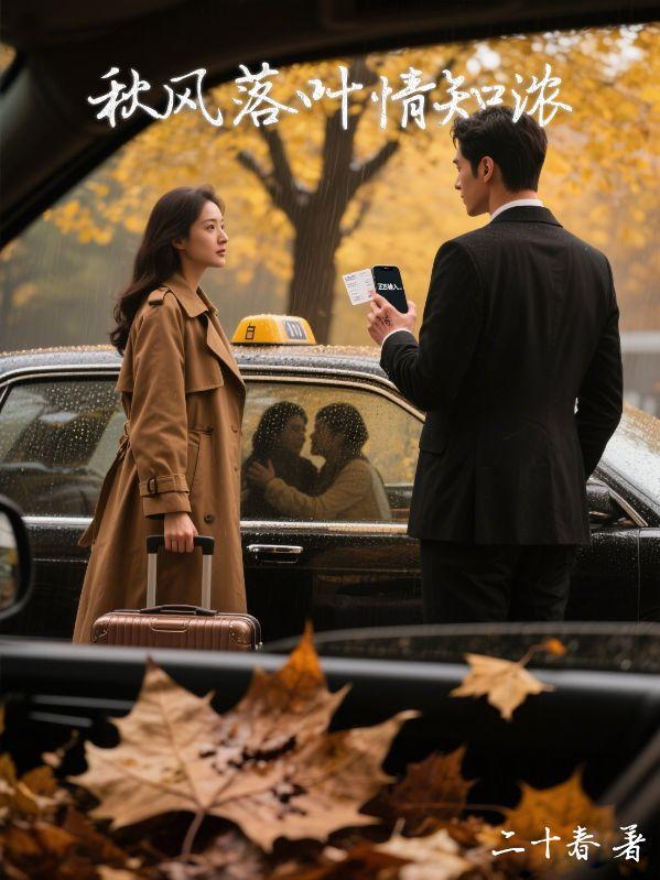 温柔刀讲的什么