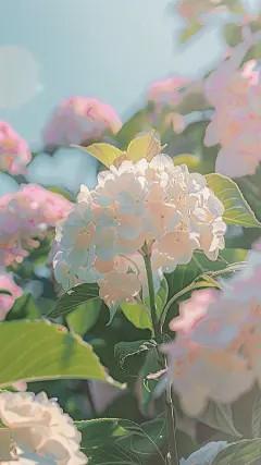 这次，我送你们一场好戏