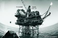 玄学大佬穿成小炮灰