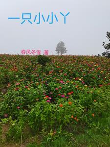 苍穹双剑怎么样