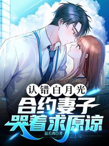 剑魂之灵轮回侠影