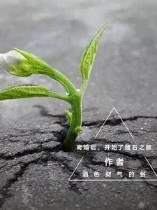 嫡女重生九皇妃