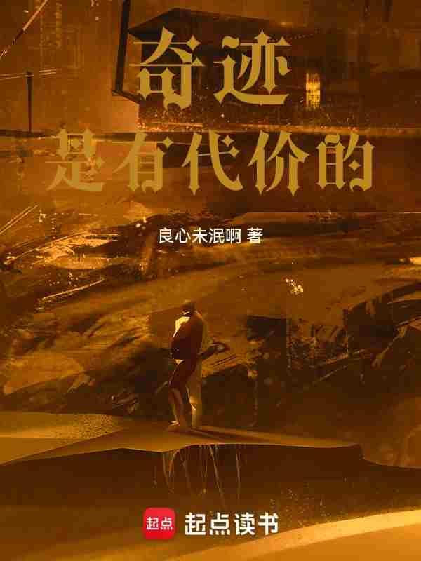 大宋少年志辛宽文